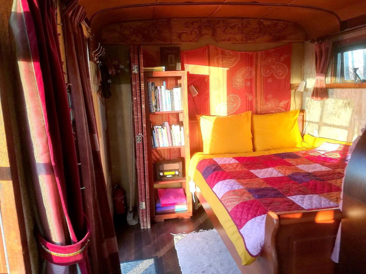 Vegawagen Psyche, Een Sprookje In Coevorden Ngoại thất bức ảnh