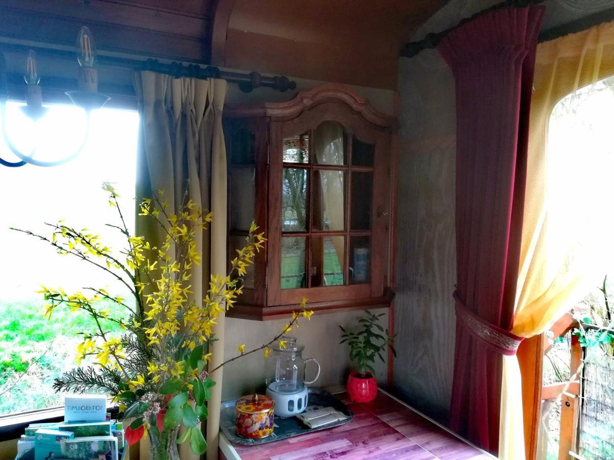 Vegawagen Psyche, Een Sprookje In Coevorden Ngoại thất bức ảnh