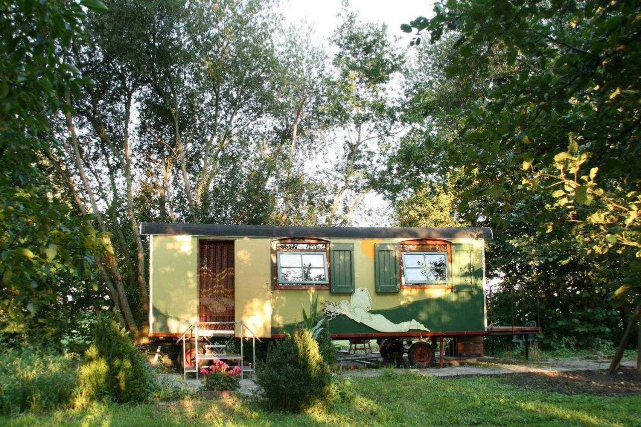 Vegawagen Psyche, Een Sprookje In Coevorden Ngoại thất bức ảnh