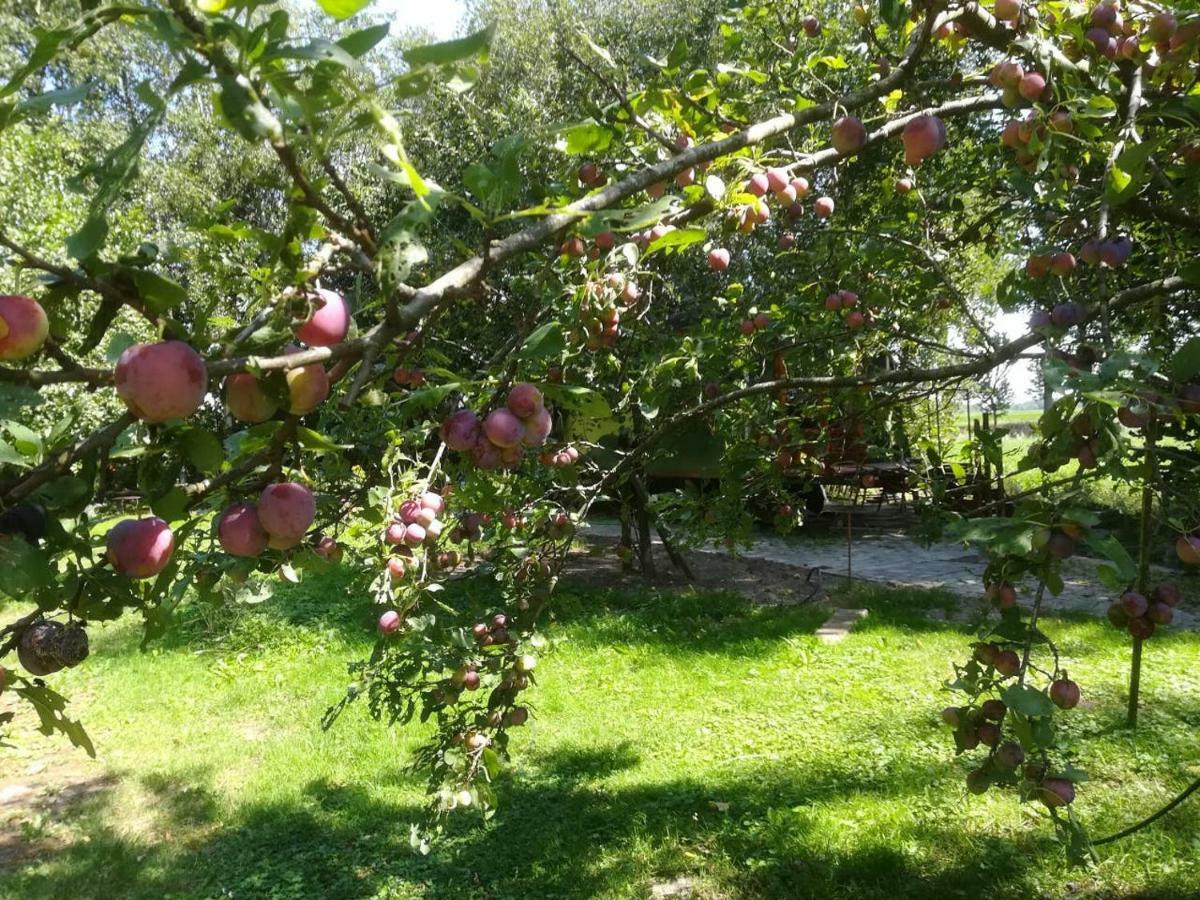 Vegawagen Psyche, Een Sprookje In Coevorden Ngoại thất bức ảnh