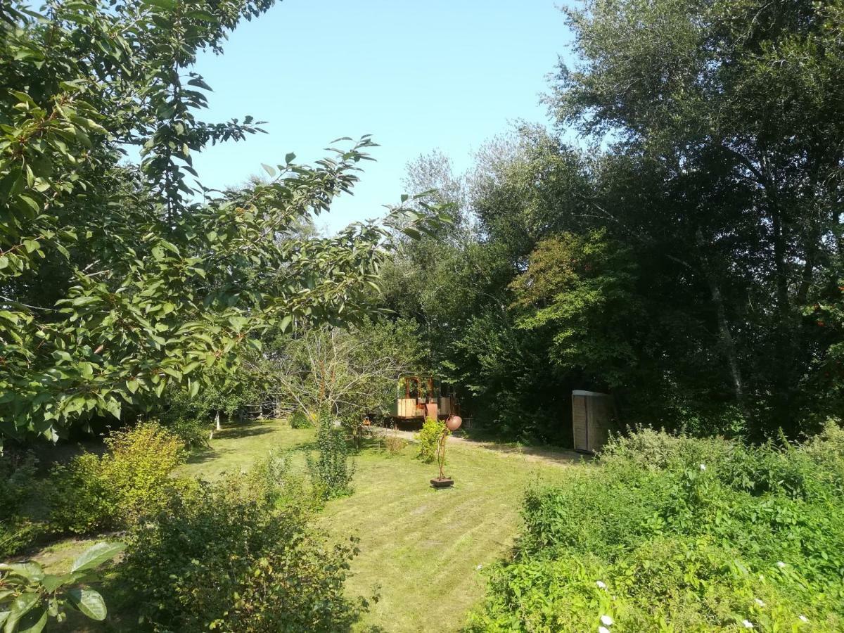 Vegawagen Psyche, Een Sprookje In Coevorden Ngoại thất bức ảnh